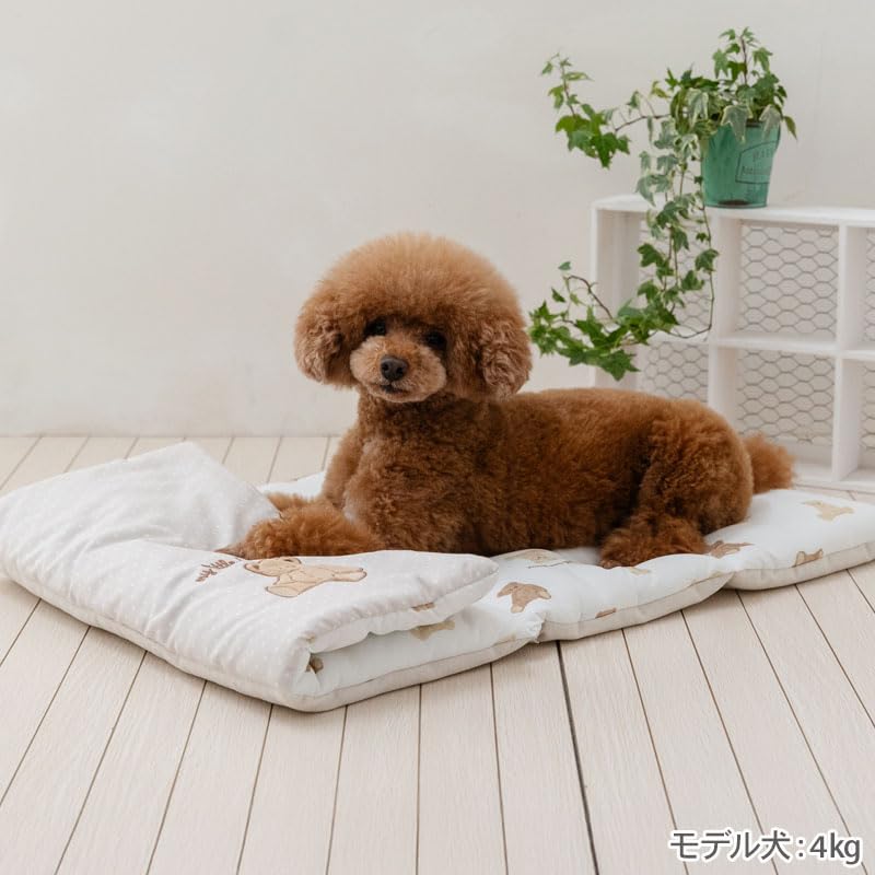 Pet Paradise Dog Pet Cushion Summer Cool Roll Bear Small Dog Mat, Pattern, Brown,