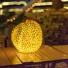 Portable Moon, Durian, Pumpkin, Goose, and Owl Animal Lamps - Solar-Powered Outdoor Decor