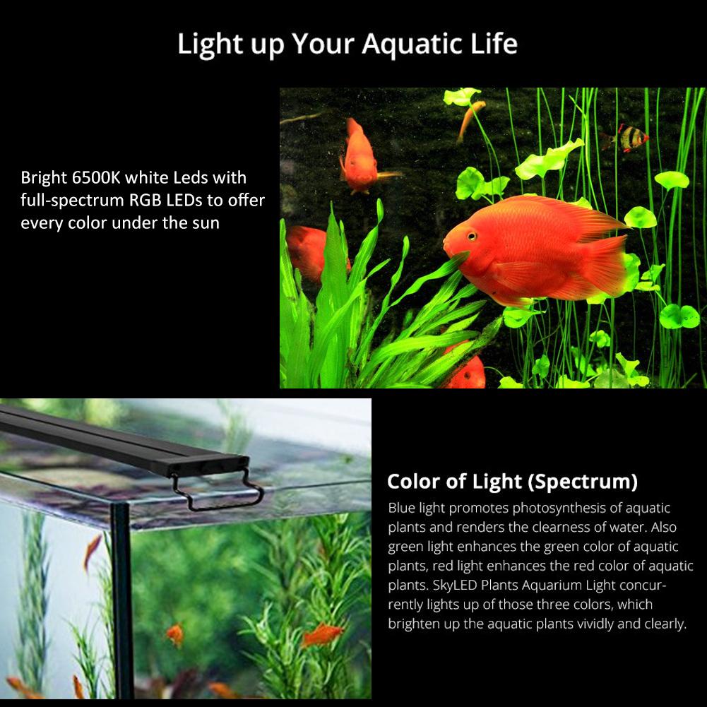 36 aquarium light