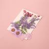 Handmade Pressed Flower Bookmark DIY Kit: Real Dried Flowers, Creative Craft, Unique Plant Specimen, Perfect Small Gift
