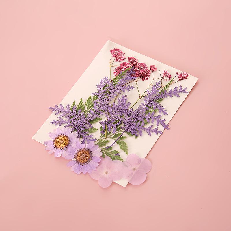 Handmade Pressed Flower Bookmark DIY Kit: Real Dried Flowers, Creative Craft, Unique Plant Specimen, Perfect Small Gift
