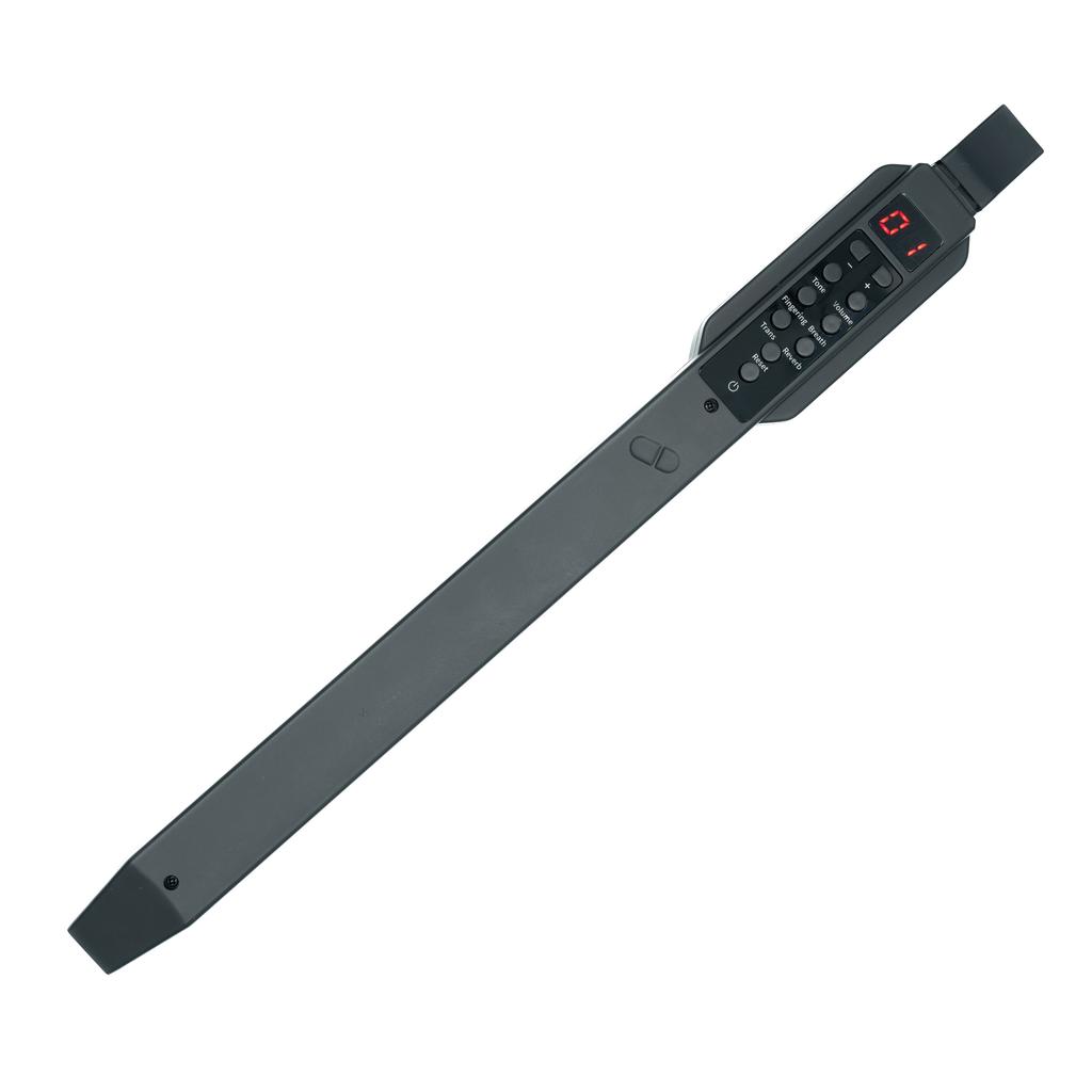 MusicMate MM-D10 AeroTone 10-in-1 Electronic Wind Instrument