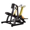 Ganas Bumblebee Rowing Back Pull Trainer