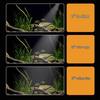 USB Mini LED Aquarium Light - Full Spectrum Algae Control, Tri-Color, Timer, Spotlight for Fish Tanks and Aquatic Plants