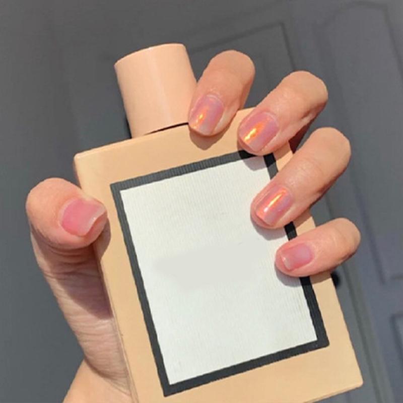 Mermaid Chrome Nail Powder Ice Transparent for Aurora Powder Mirror Manicure Pig