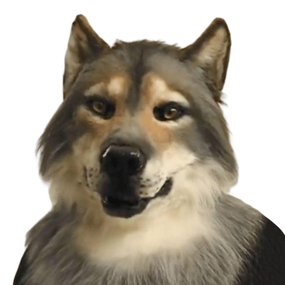 Venetian Party Eagle Mask Simulation Animal Wolf Mask Halloween Hood Mask  Party Makeup Ball