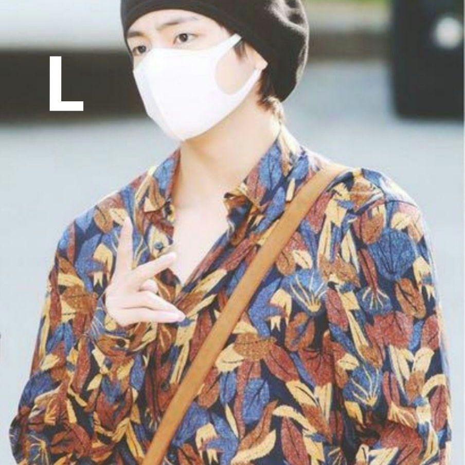 

[USED] ZARA Men s BTS V-neck Leaf Print Long Sleeve Shirt, Size L, 42