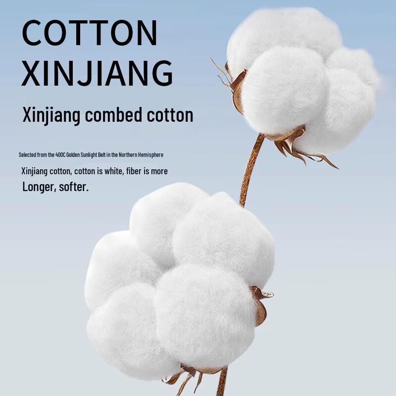 Nanjiren Men's Antibacterial Cotton & Silk Boxer Briefs 4-Pack