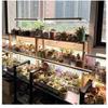 Indoor-Blumen Wachstums-Zusatzbeleuchtung Gerät AC100-265V IP65 Wasserdicht LED-Stäbe Vollspektrum LED-Wachstumslicht
