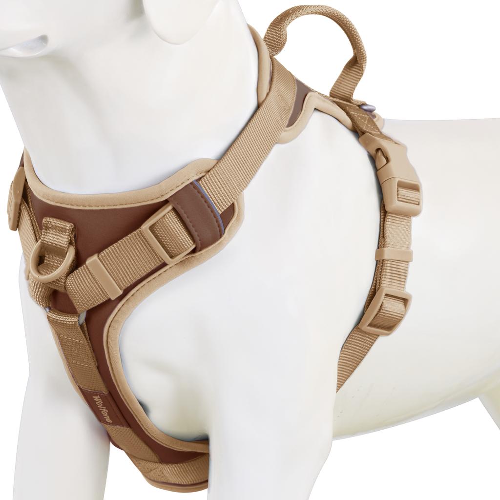 Splicing Colors Breathable For Medium No Pull Dog Harness for Large Small Dogs Adjustable Chest Strap Outdoor Dog Harness