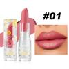 HANDAIYAN Velvet Matte Lipstick, Waterproof Long-Lasting Moisture Lip Makeup, Pigmented Smooth Nude Red Lipstick in Clear Floral Tube, Cosmetic