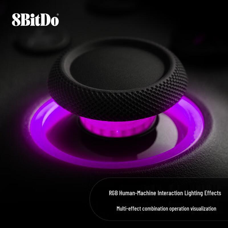 8BitDo Hunter 2 True Wireless NS Game Controller