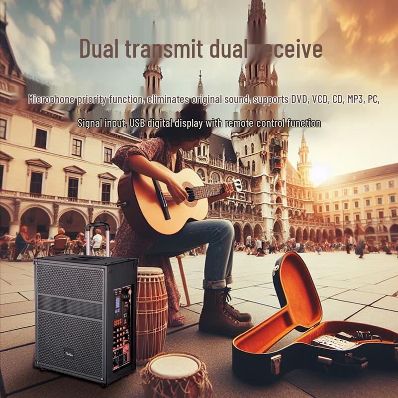 Runpu 12-inch 3-Way Portable PA Speaker with Microphone (CN version)