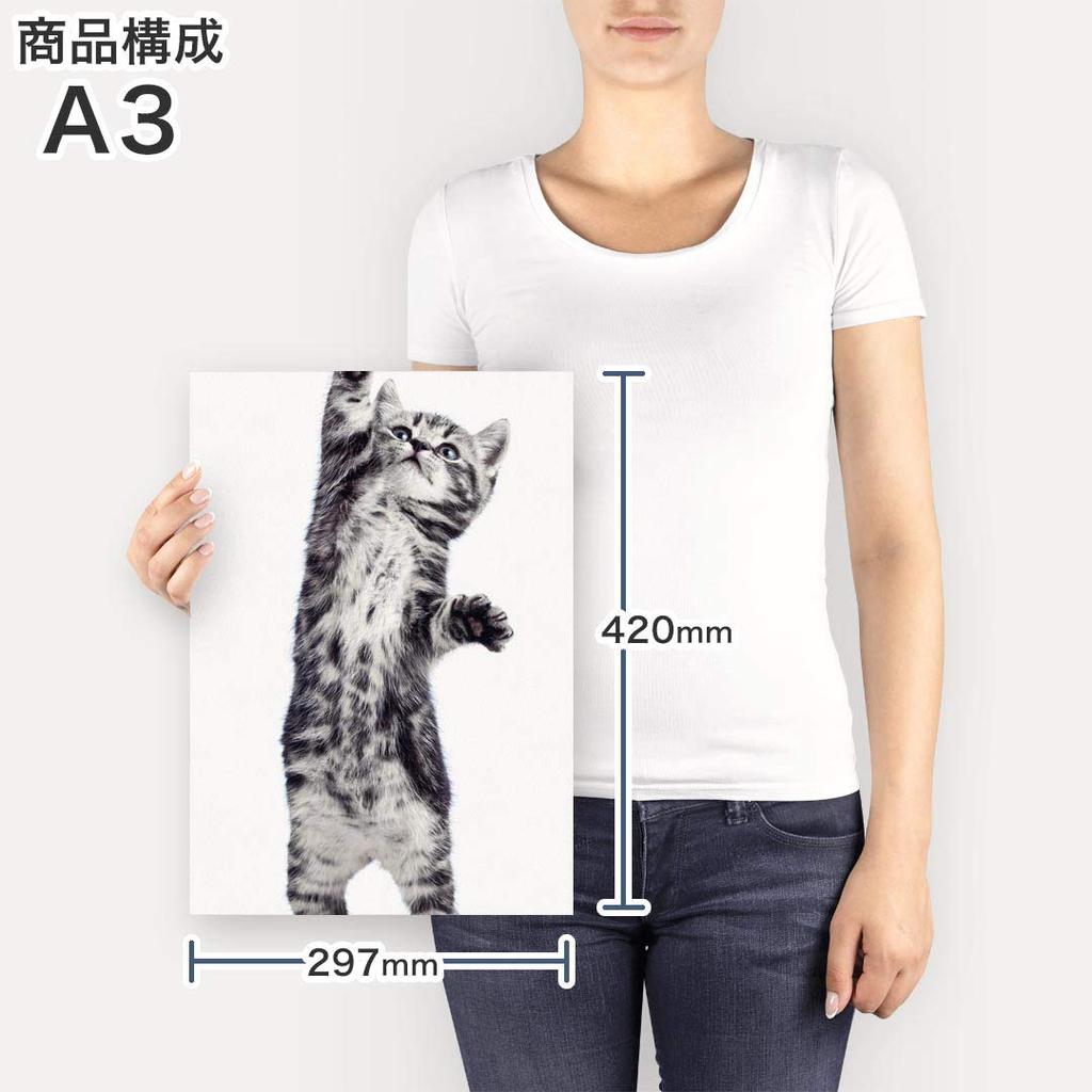 Art 420mm x Wall Wooden Stylish Interior Cat Panel, Painting, Decoration, igsticker, 297mm, A3, Photo, Hanging, Frame, Decor, 001200, Animal,