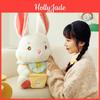 Adorable Bunny Fairy Plush Doll For Girls Soft And Cuddly Stuffed Toy Ideal Birthday Gift