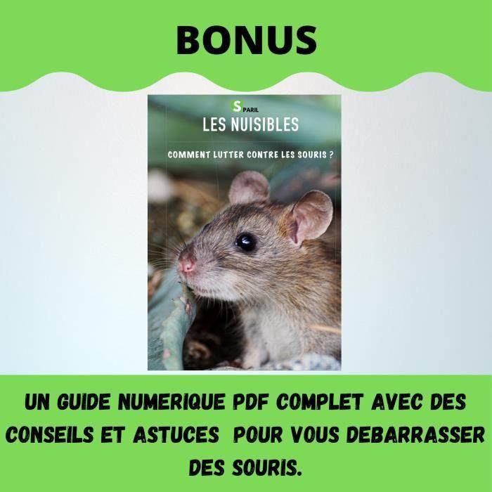 Piège a souris rat vivant transparent sans cruauté. puissant, efficace réutilisable.cage anti rongeur pour attraper mulot nuisible