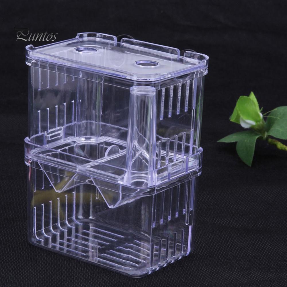 Akryl Transparent Dobbeltlags Aquarium Fish Breeding Isolation Box Incubator