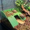 Plastic Turtle Climbing Ramp with Suction Cups Reptile Terrace Feeding Platform  Aquarium Decor