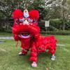 Adult Blinking Foam Lion Dance Set