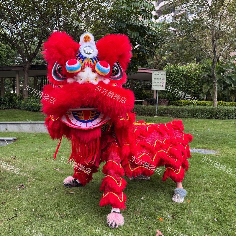 Adult Blinking Foam Lion Dance Set