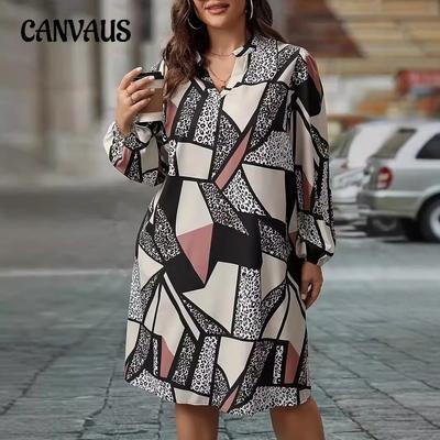 Autumn Women's Long Sleeve V-Neck Printed Plus Size Dresses Printed Dress