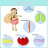 Organ Anatomy Plush Toy Montessori Preschool Teaching Aid