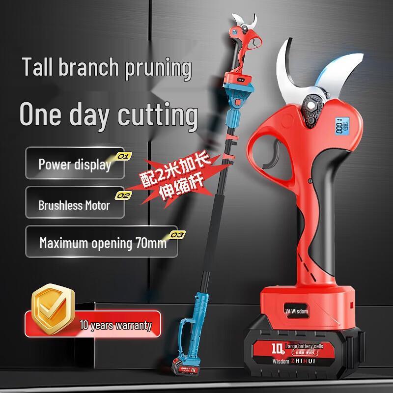 BAIPUXI Cordless Long Pole Electric Pruner & Saw CN plug (adapter included)
