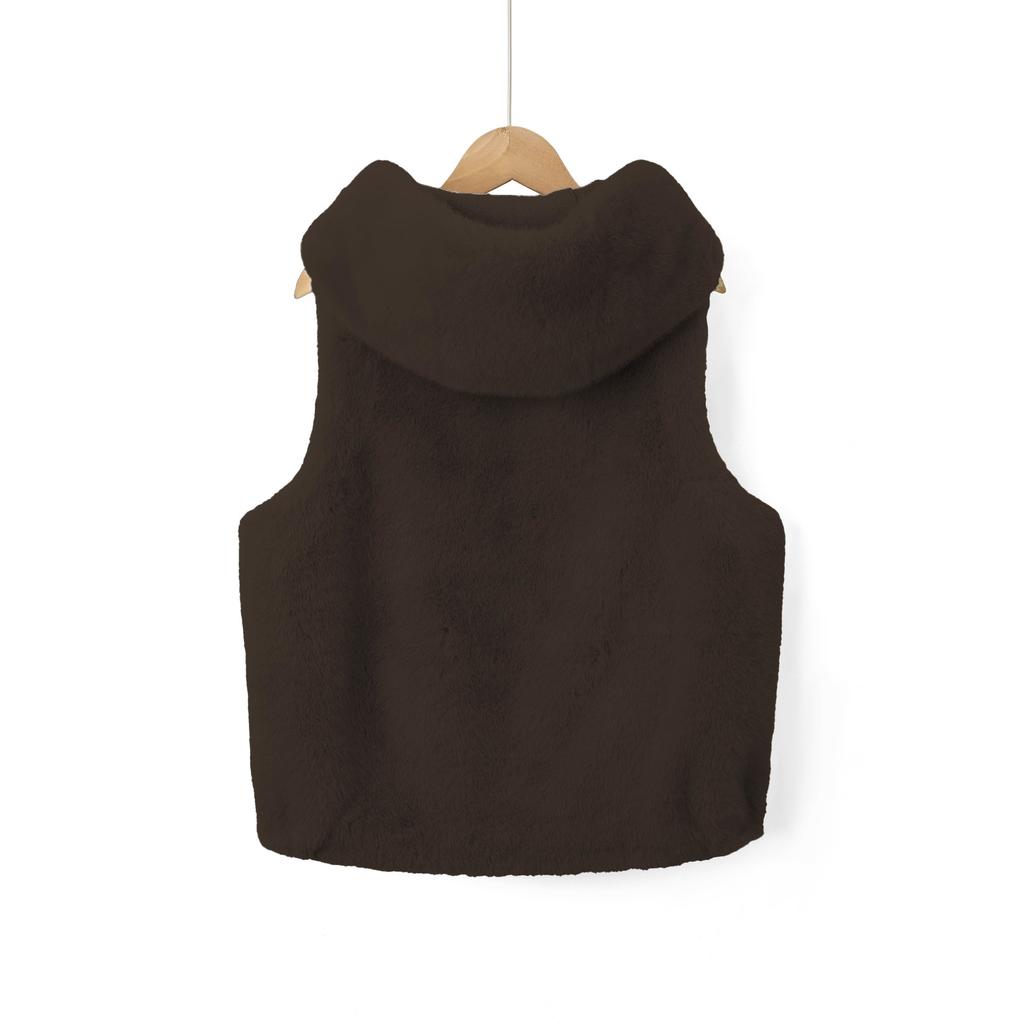 European Beautiful Women's Autumn and Winter Imitation Fur Jacket Fur Integrated Hooded Vest Loose Foreign Trade Loose Casual Vest