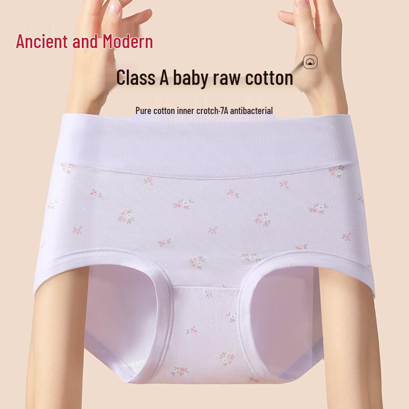 GUJIN Women's Plus Size High-Waist Cotton Briefs (3-Pack)