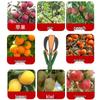 1,5M Telescopische 3-Klauwen Fruitplukker