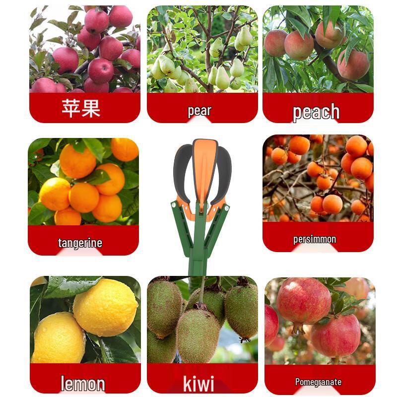 1,5M Telescopische 3-Klauwen Fruitplukker