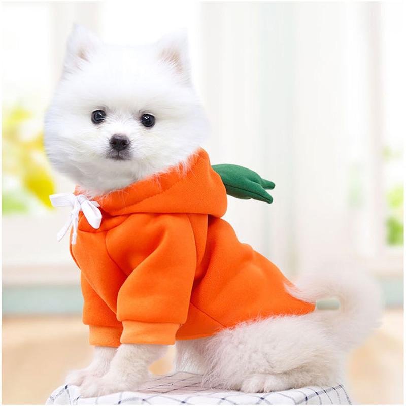 Cute Fruit Dog Clothes for Small Dogs Hoodies Warm Fleece Pet Clothing Puppy Cat Costume Coat for Chihuahua Jacket Suit
