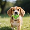 Funny Pet Toys  Sound Toys Stress Relief Toys