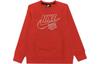Kids Sweatshirts Crew Neck Moderate CZ6108-650
