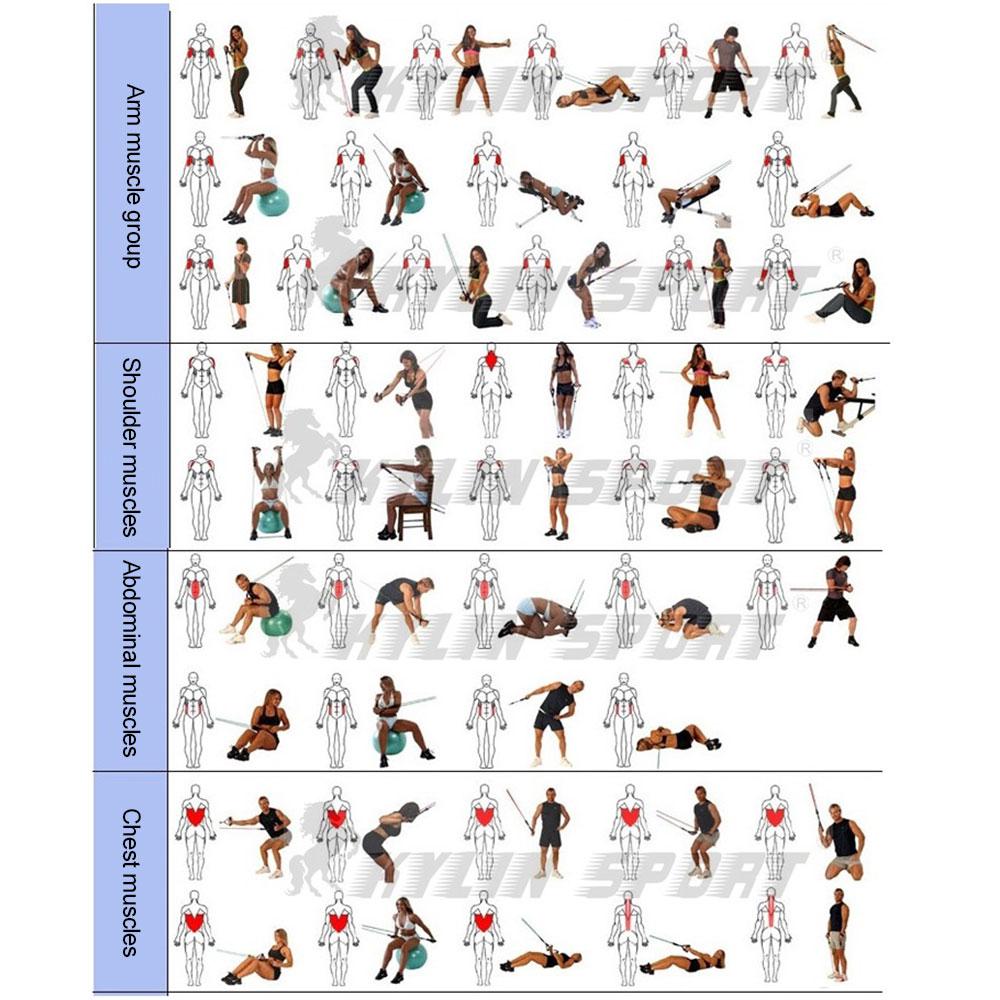 Set Latex Resistance Bands Crossfit Training Exercise Yoga Tubes Pull Rope,Rubber Expander Elastic Bands Fitness with Bag