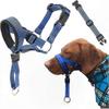 Cães – Colares e correias para cães
