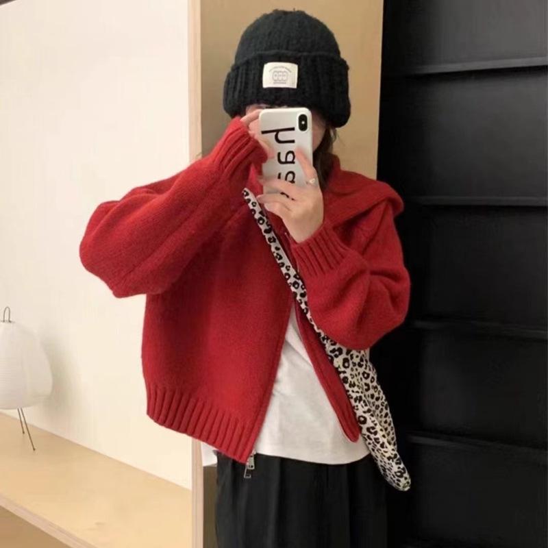 

Многоцветный вязаный кардиган с капюшоном на двойной молнии, женский короткий свитер-худи для осени и зимы One Size красный