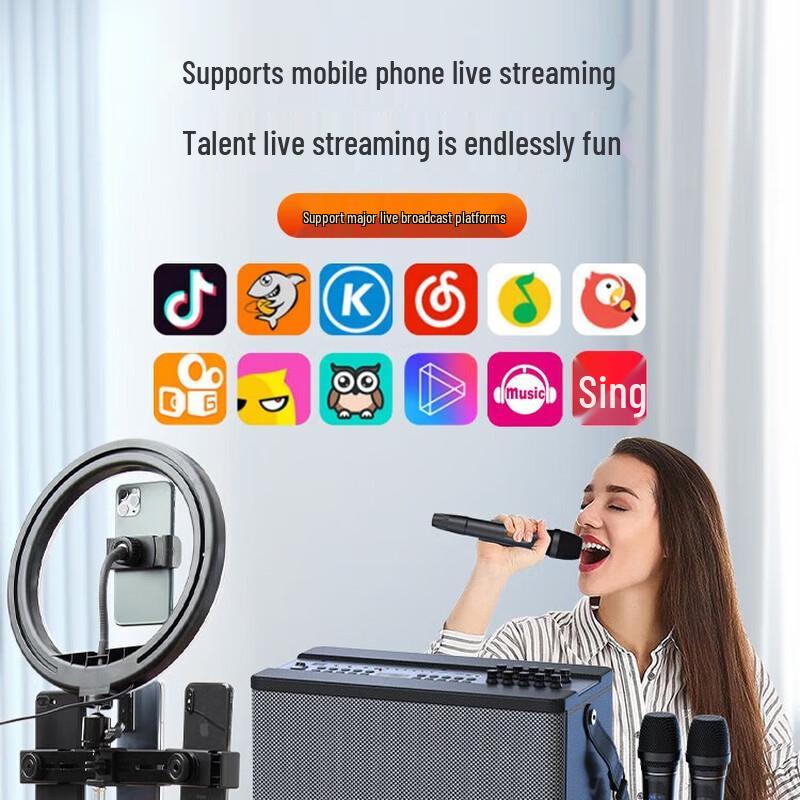 Sansui SS190 Portable Outdoor KTV Speaker