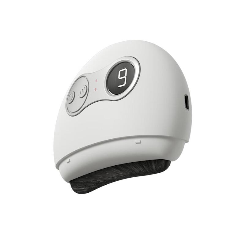 JANCHENG Electric Bian Stone Gua Sha Massager