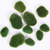 20 Pieces Assorted Sized Artificial Moss Rocks Decorative Faux Stones for Floral Arrangements Fairy Gardens Terrariums and Crafting