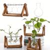 Hydroponic Vase Glass Transparent with Wooden Stand Creative Simple Desktop Green Plant Cultivation Container Home Decoration Or