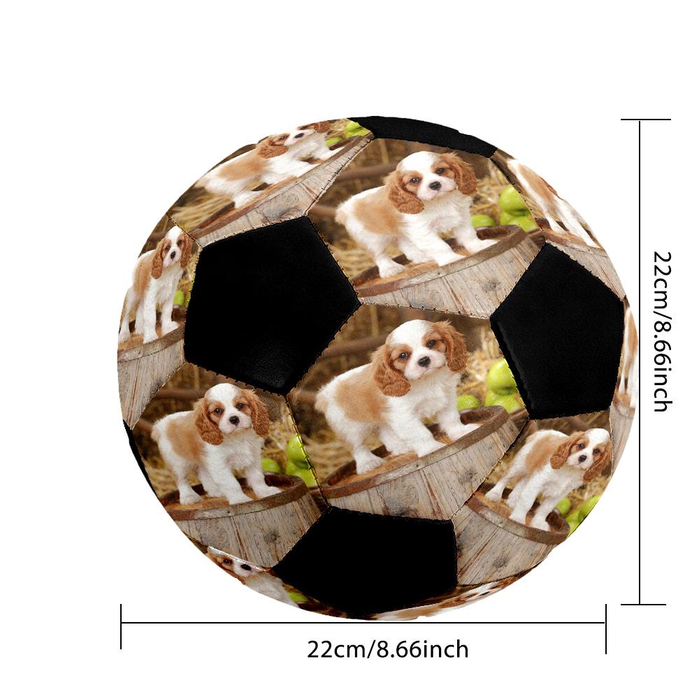 Cavalier Charles Spaniel Puppy. Personalized photo Size 5 Soccer Ball Machine Sewn Indoor/Outdoor Universal Football Personalized Soccer Ball