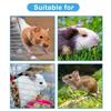 Rabbits Wooden Feeder Board Guinea Pigs Chinchillas Treats Dispenser Pet Supply