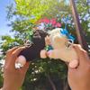 Magnetic Lamb Plush Keychain Couples Gift Sheep Pendant Decoration Bag Accessory