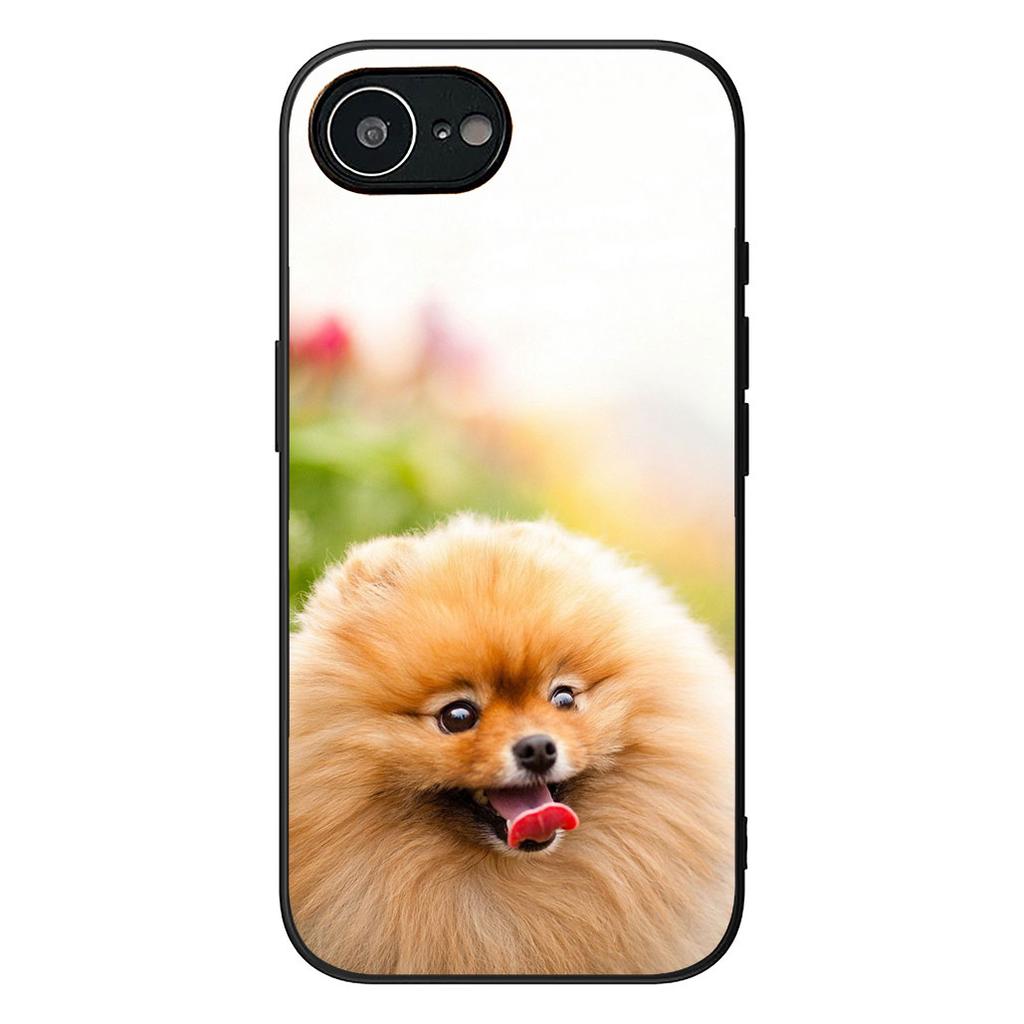 Bichon Frise Pomeranian Dog Phone Case for Samsung Galaxy A06 A05 A14 A50 A51 A52 A12 A13 A23 A70 A07 A25 A26 A72 A56 Cover