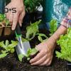 8 Pcs Gardening Tools Stainless Steel Hand Shovel Pruning Shears Garden Supplies with Storage Bag Gifts for Gardening Lovers