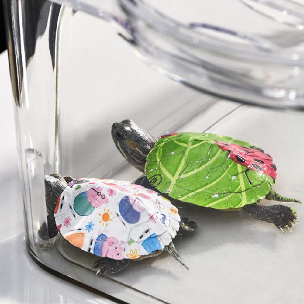 Beginner Fish Tank Stackable Transparent Cube Tank Small Fish Bowl For Temporary Space Turtle Tanks Desktop Aquarium For