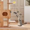 Bouncing Toy Cats and Felines Fun Exercise and Entertainment Cats Toy
