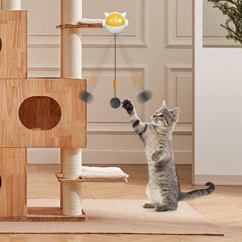Bouncing Toy Cats and Felines Fun Exercise and Entertainment Cats Toy