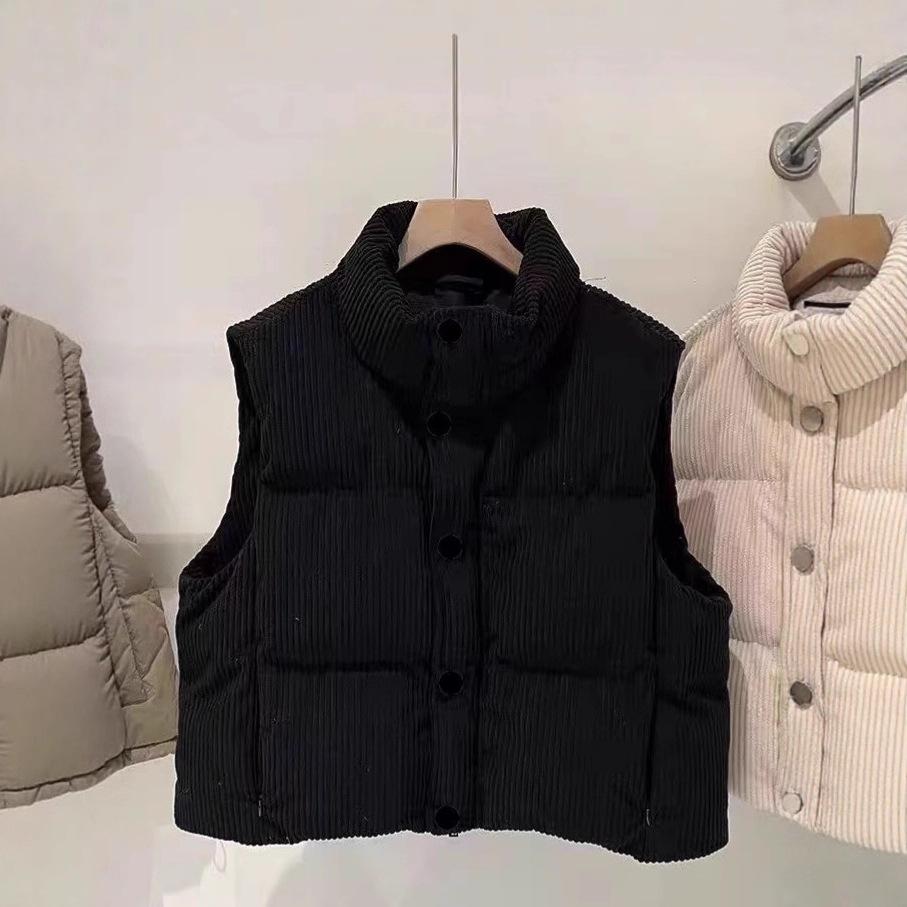 Down cotton clothes vest women's new autumn and winter loose fashion foreign look thin vest stand collar